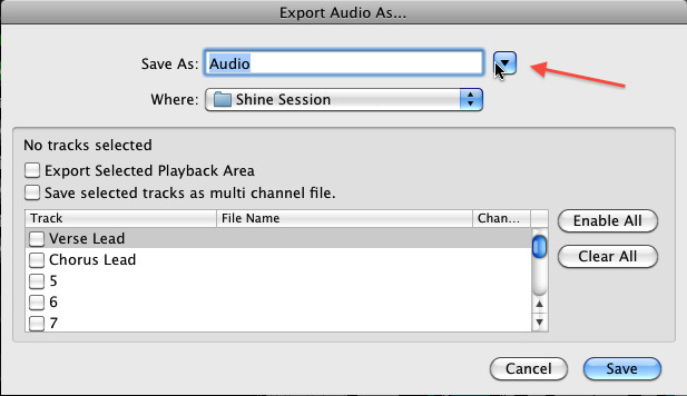 Export Audio Menu